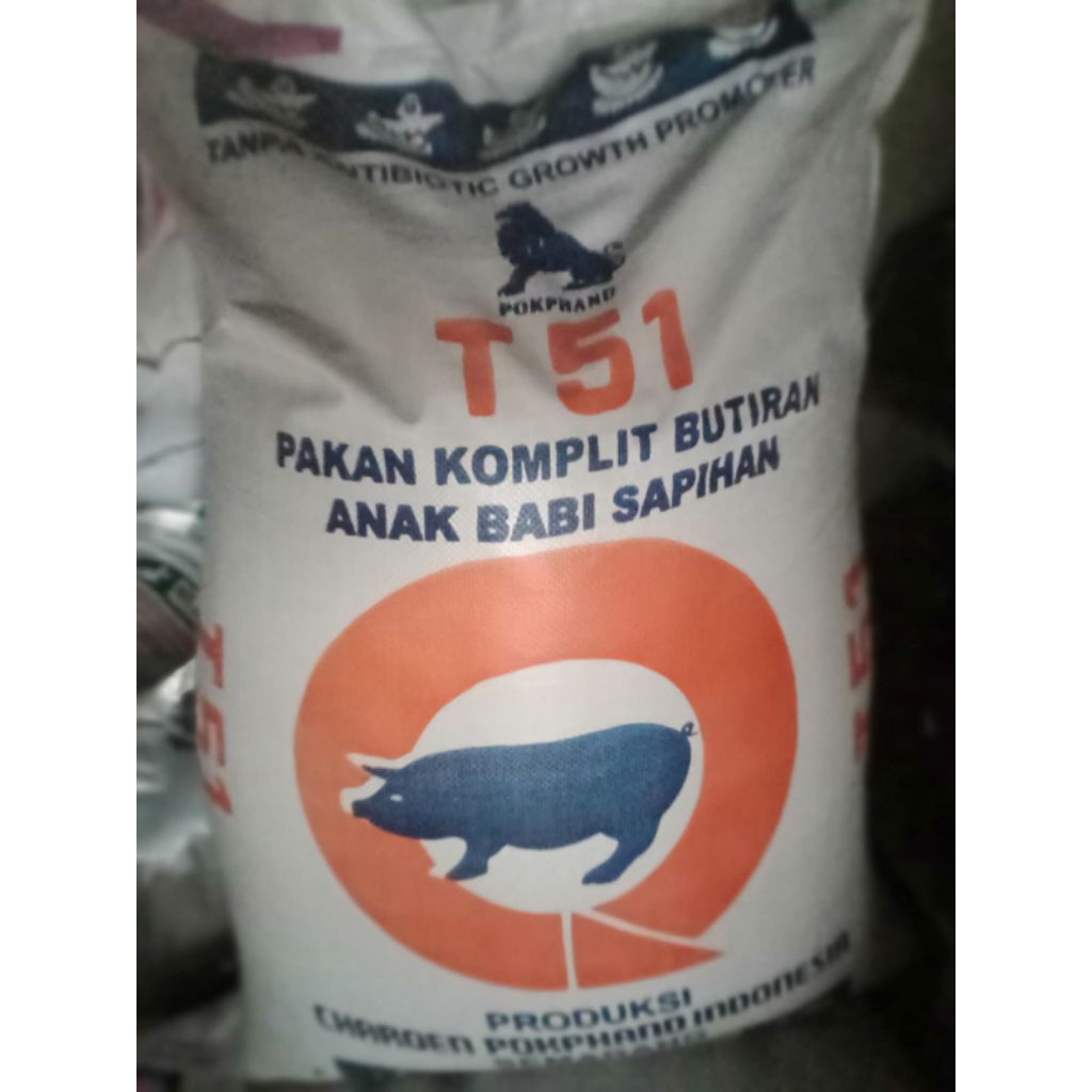 PUR T51 BABI 1SAK ISI 50KG SEGEL