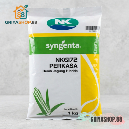 benih jagung NK perkasa 6172 bibit jagung Benih Jagung NK Perkasa Sakti 6172 - 1 Kg
