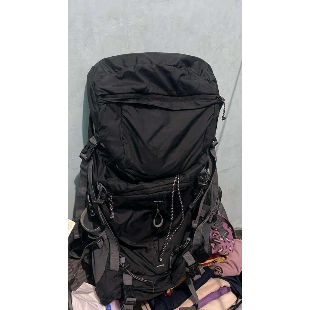 Reptil bunglon 45L