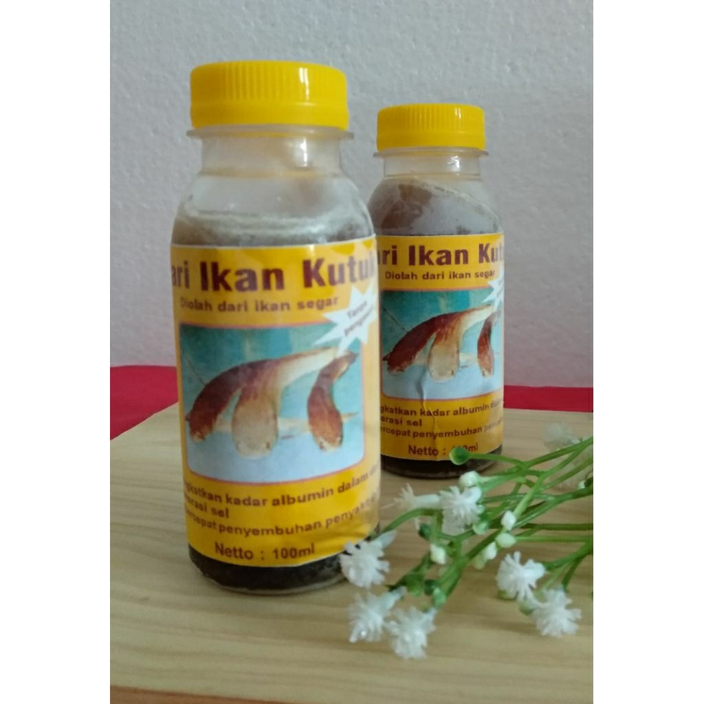 Sari ikan gabus | sari ikan kutuk
