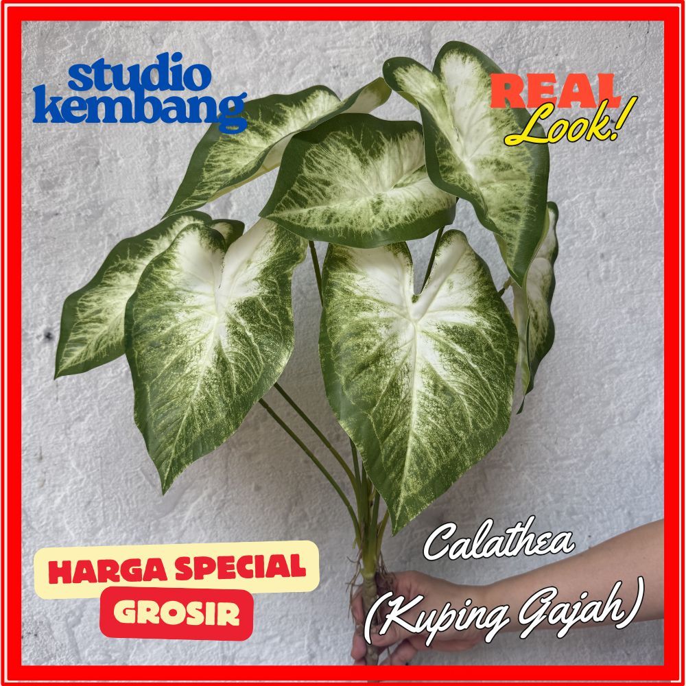 Daun Calathea (Kuping Gajah) Artificial 7 Tangkai – Dekorasi Realistik