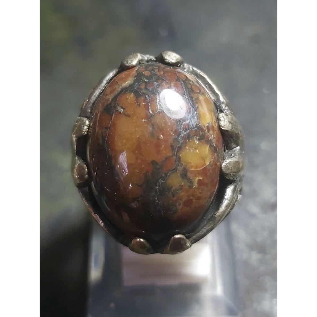 Fosil Kayu Nagasari