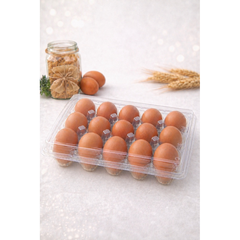 Telur Omega 3 - mika isi 15 butir
