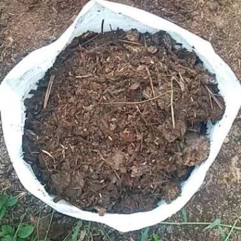 kohe sapi kering 1kg
