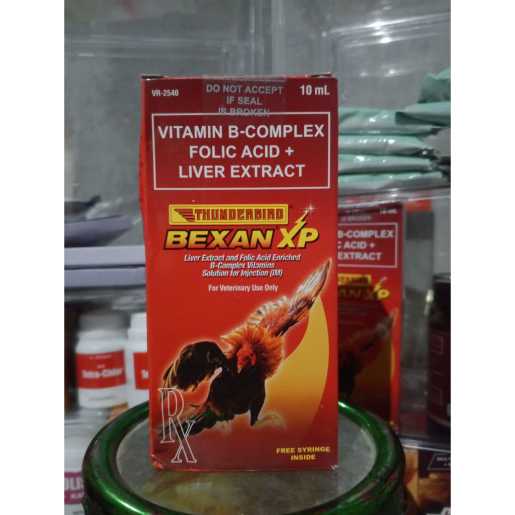 Bexan Xp