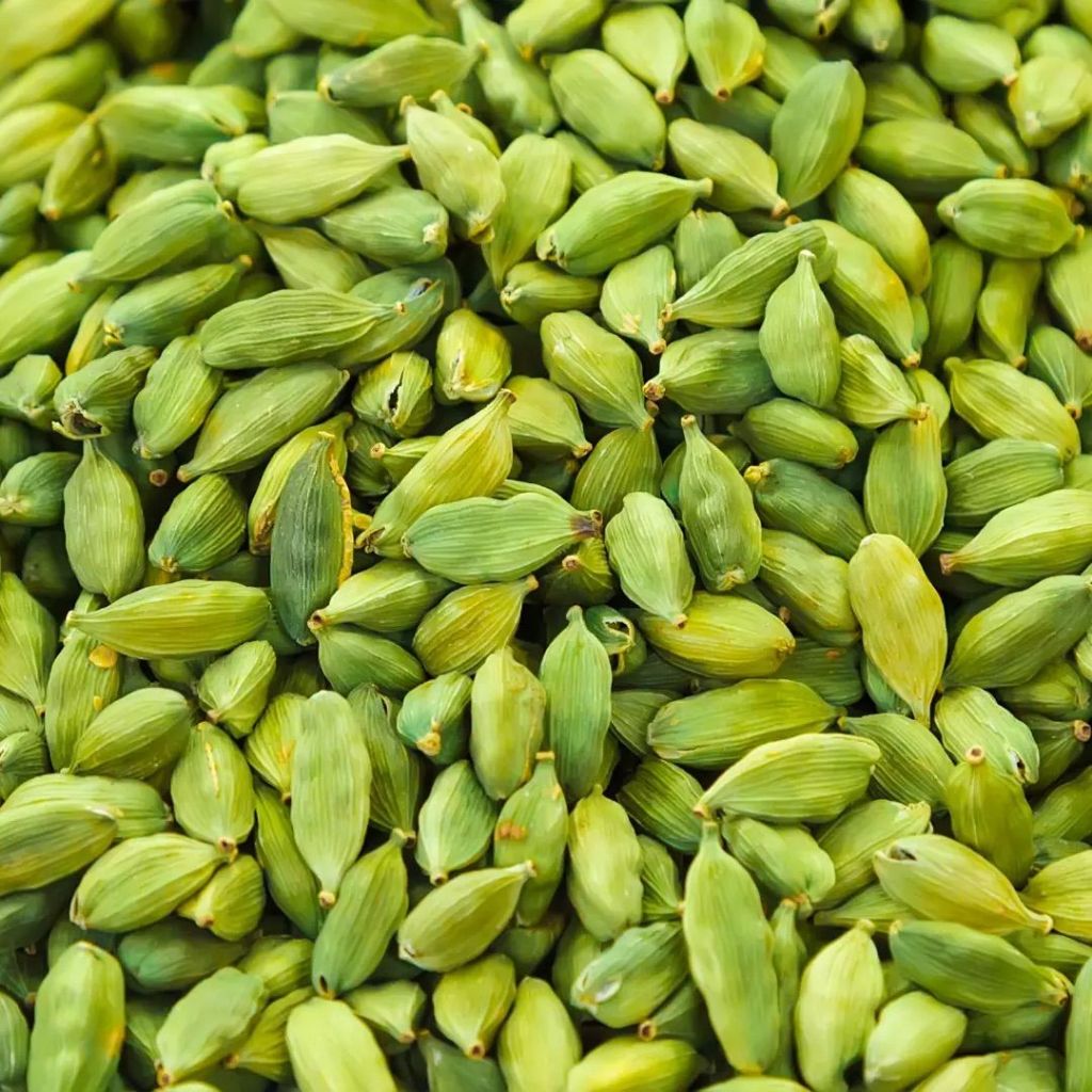 Kapulaga Hijau India Kapulaga Arab Green Cardamon