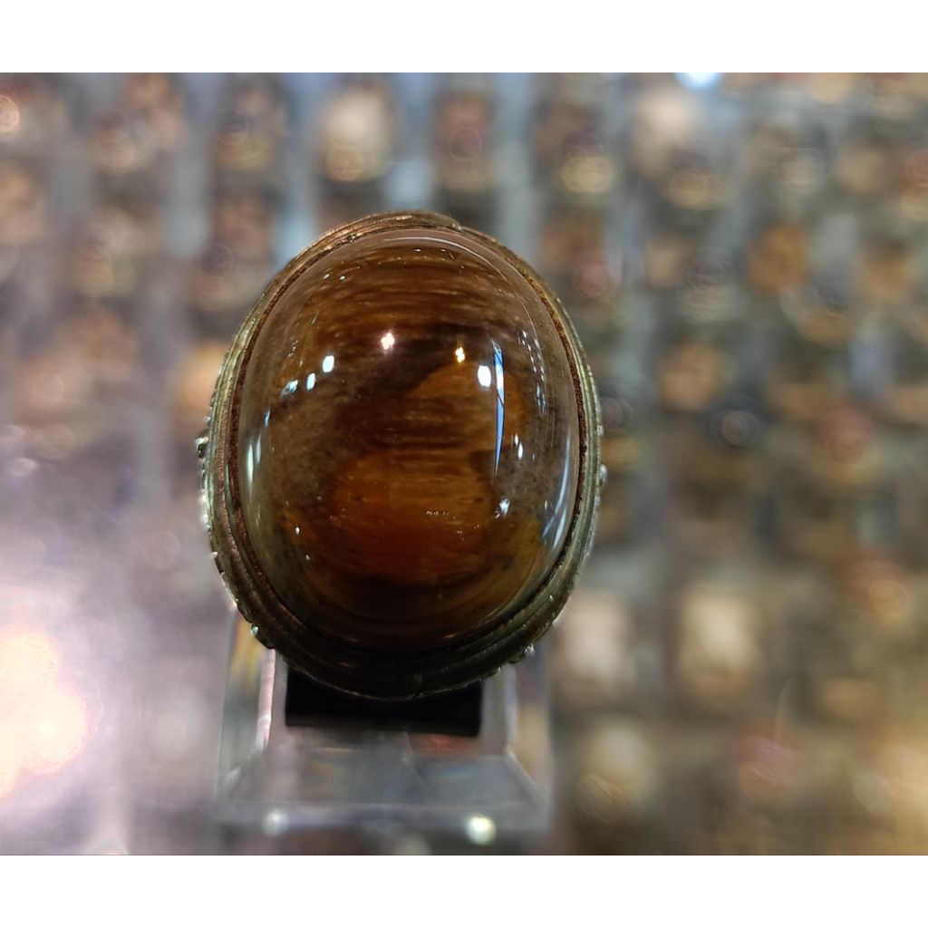 Cincin batu fosil kelor  (Natural)