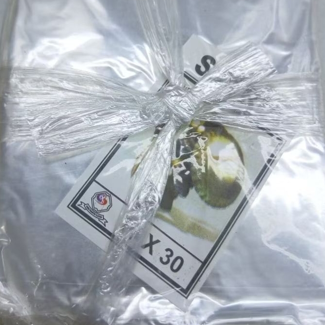 PLASTIK PP TAHU BIASA UK 10X30 ( 10 BKS )