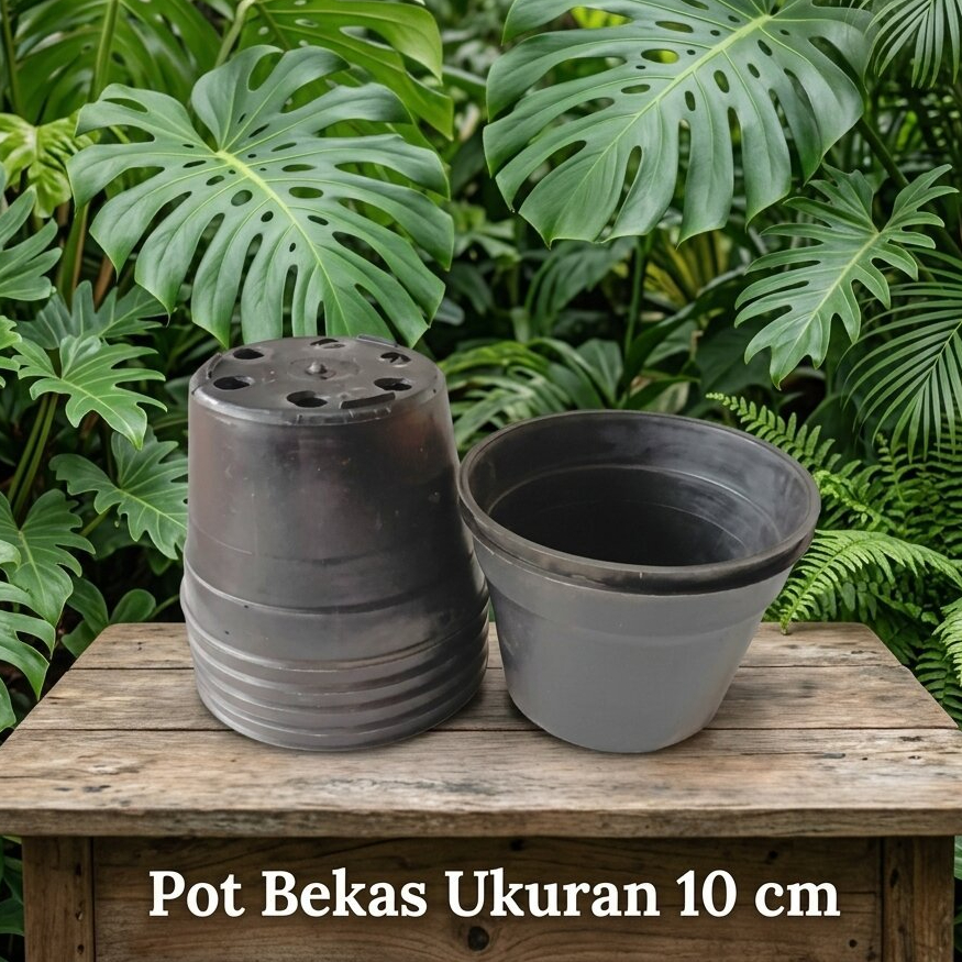 POT BEKAS 10 CM