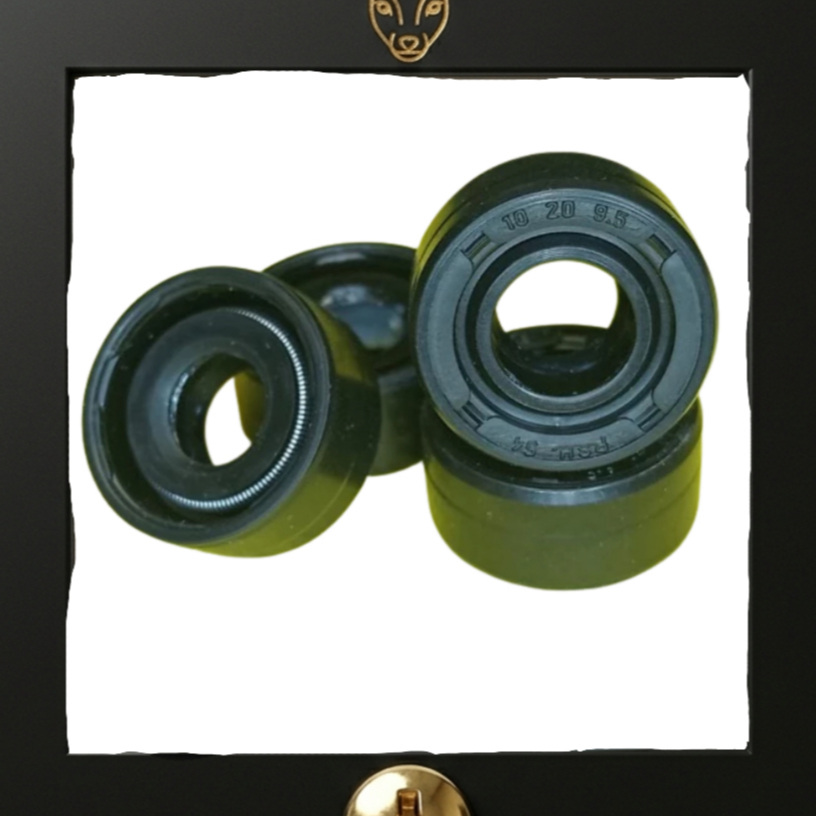 oil seal shok 10x20x9.5 shock belakang motor karet sok oli sil original