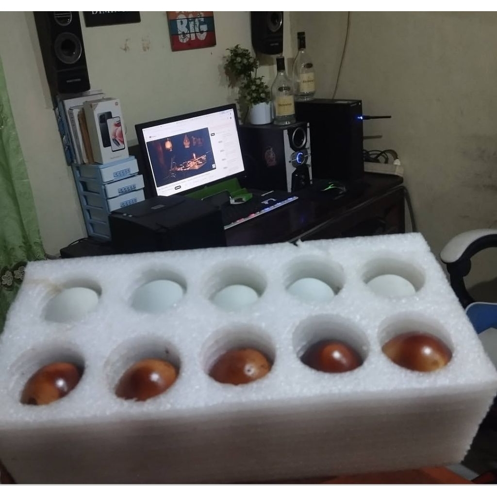 Promo Busa Foam Packing Telor Asin