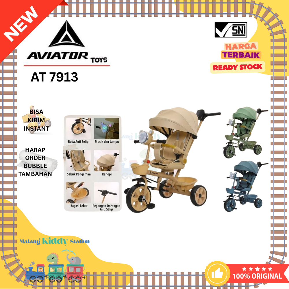 Sepeda Anak Cewek Cowok Tricycle Roda Tiga Kanopi Musik Lampu Dorongan Aviator AT 7913