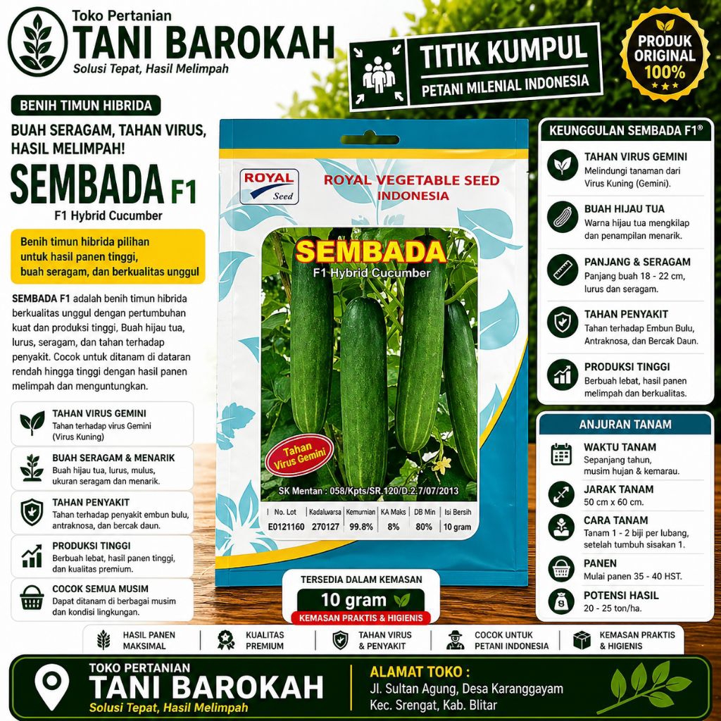 Benih TIMUN F1 SEMBADA 800 benih/ Royal Seed