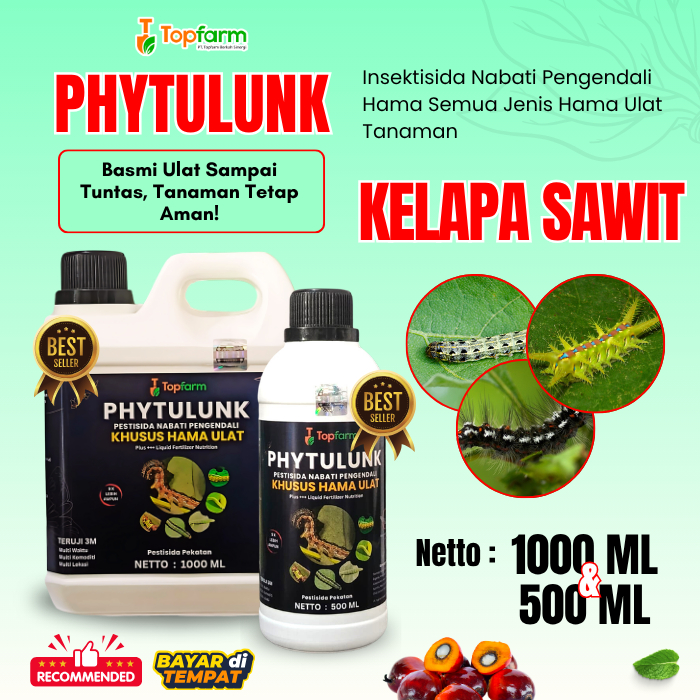 Pestisida Hama Ulat Kelapa Sawit / Insektisida Hama Ulat Daun Pada Pohon Kelapa Sawit / Obat Ulat To