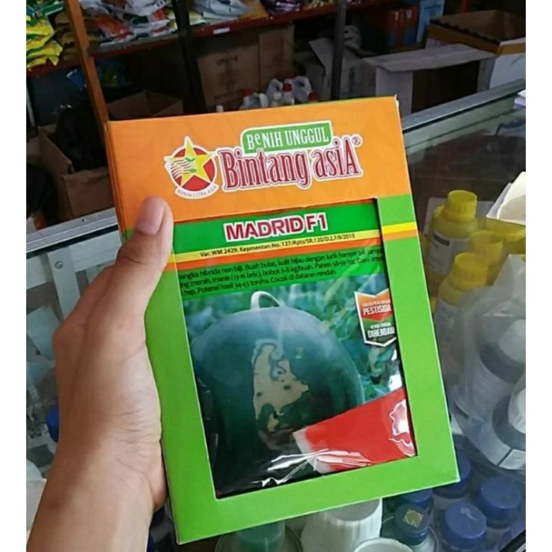 Benih Semangka Madrid F1 20 gr benih hibrida F1-bintang asia