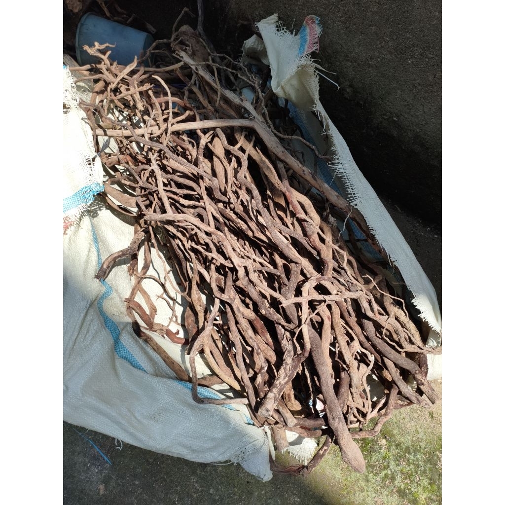 kayu (akar) santigi/setigi aquascape  ukuran XL