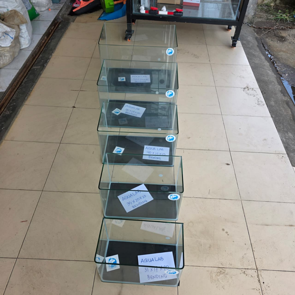 TANK AQUARIUM AKUARIUM IKAN AQUALAB KACA OPTIC CLEAR BENDING MELENGKUNG AQUALAB