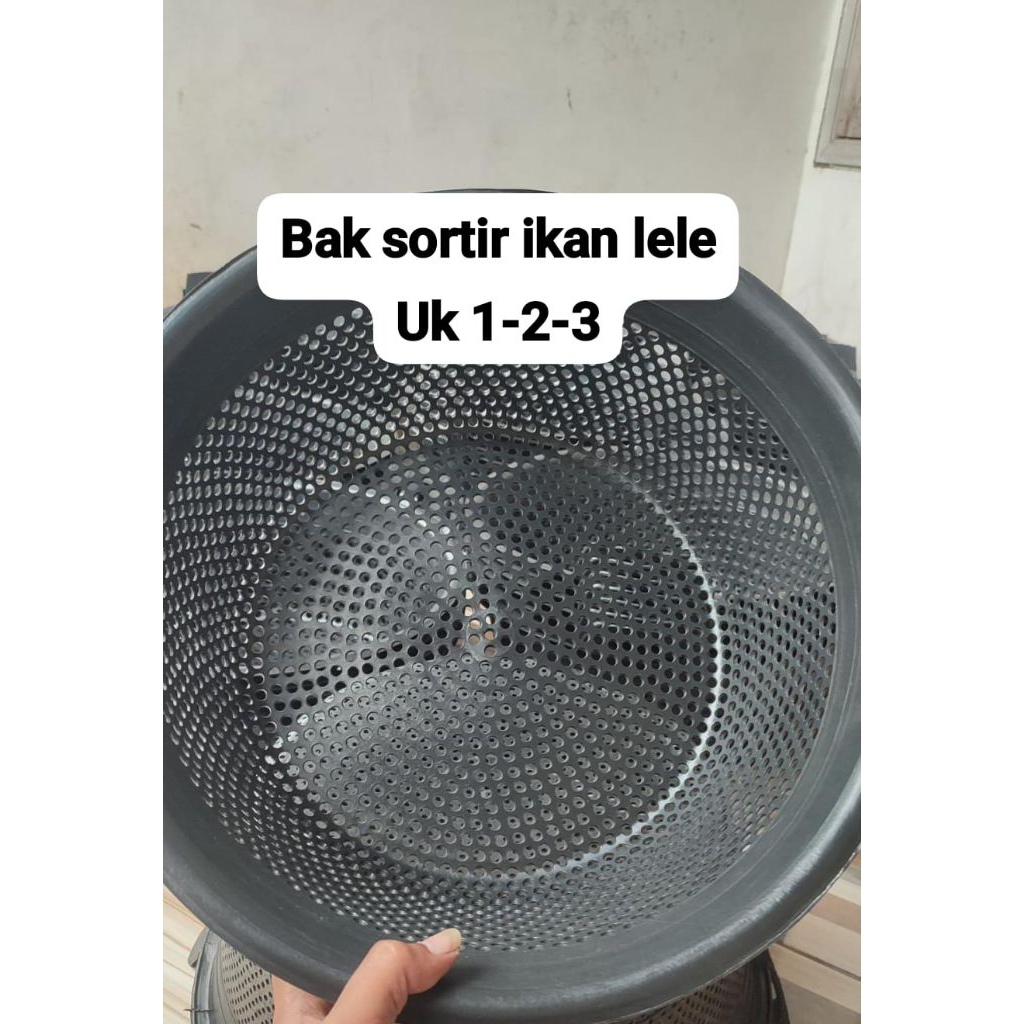 bak sortir lele uk 1-2-3 /ikan lele/ember sortir lele murah/ember lele/ember sortir ikan/ember ayak 