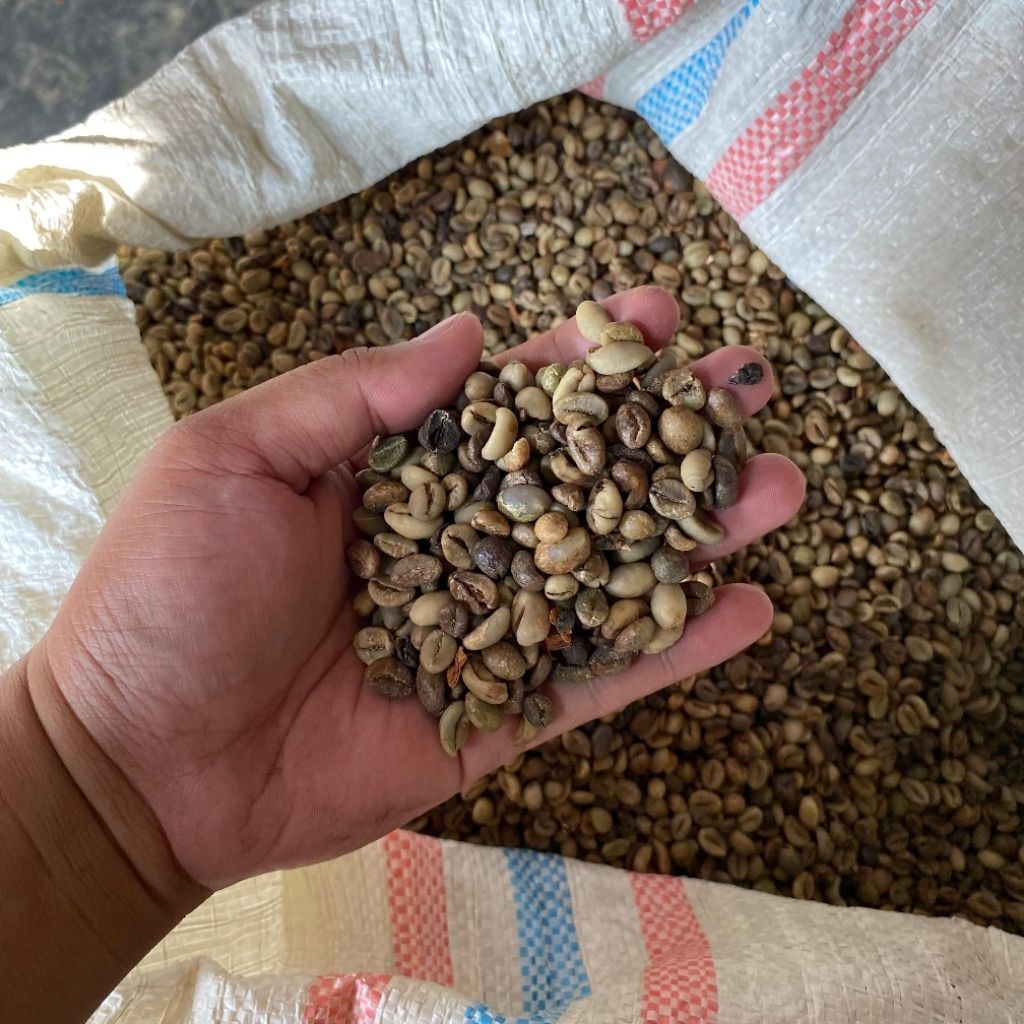 Biji Kopi Robusta 1 Kilo