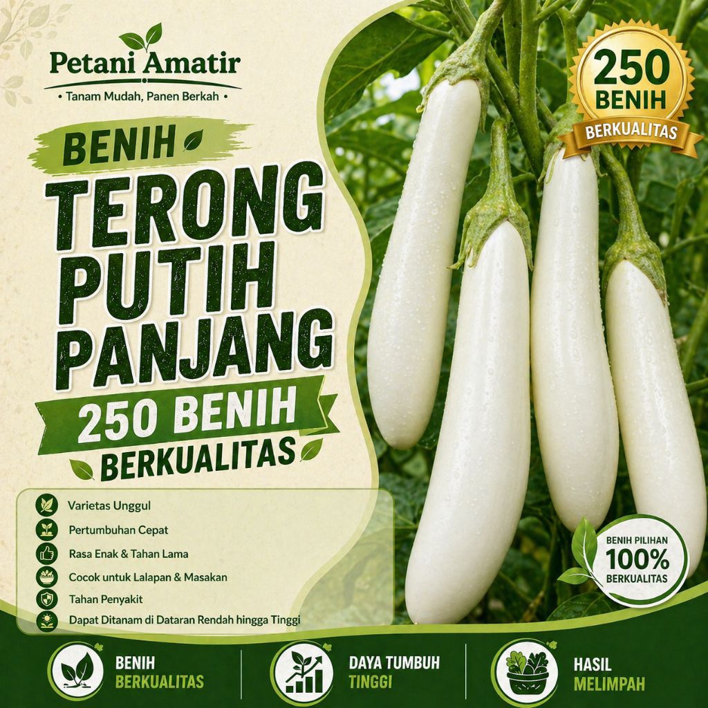 BIBIT BENIH TERONG PUTIH PANJANG || 250 BENIH UNGGUL || COD || GRATIS ONGKIR