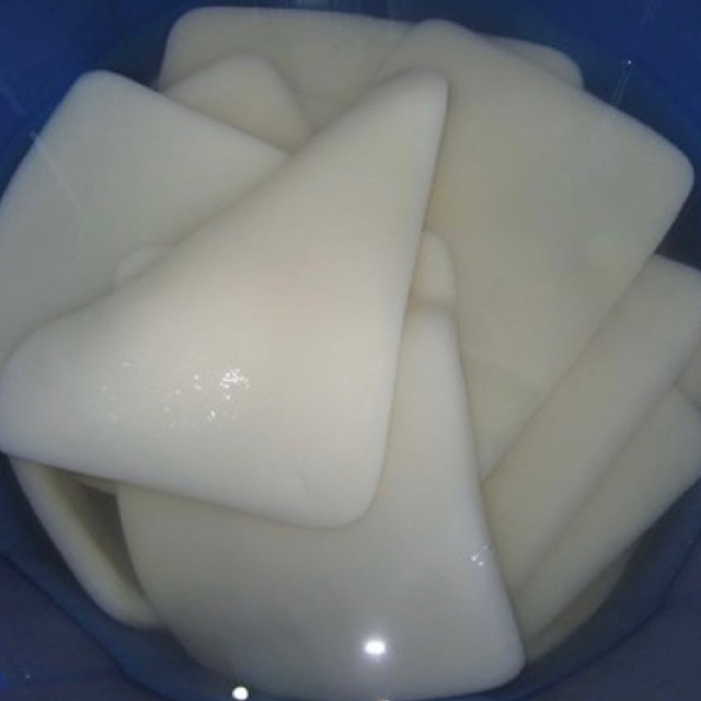 Nata de Coco Lembaran Mentah isi 2 (dikirim dalam bentuk PRESS)