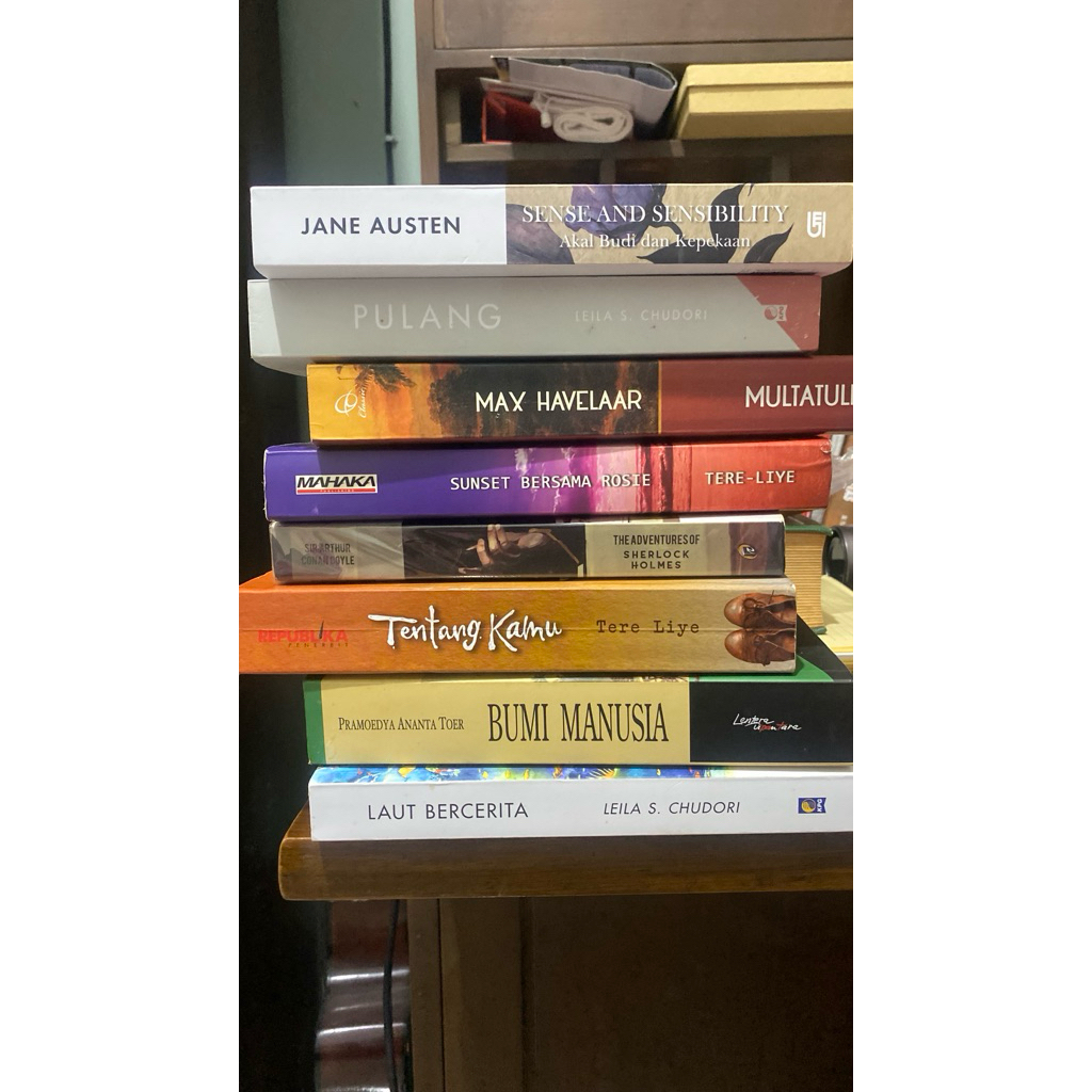 (Preloved) Sense & Sensibility, Max Havelaar, Laut Bercerita, Tentang Kamu, Pulang