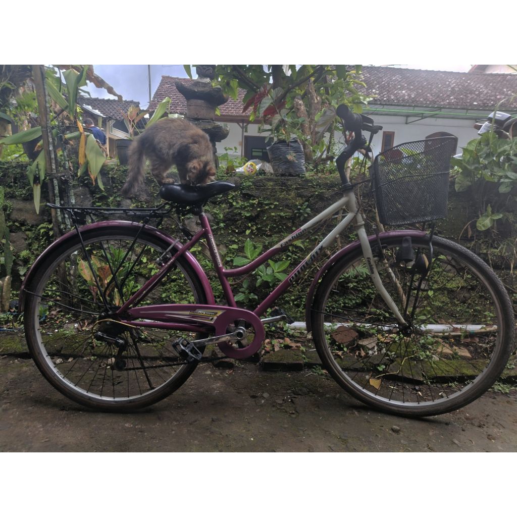 sepeda mini keranjang phoenix ring 26 sepeda mini wanita
