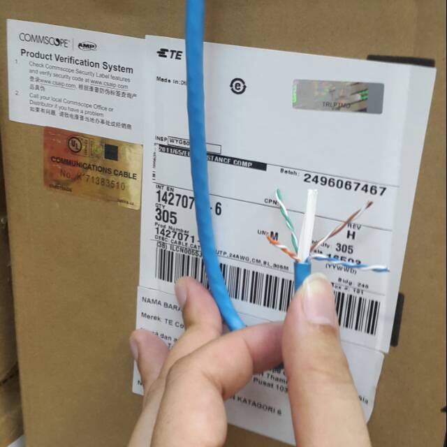 Kabel AMP Commscope UTP Cat 6 / Commscope UTP Cat 6 / AMP UTP Cat 6