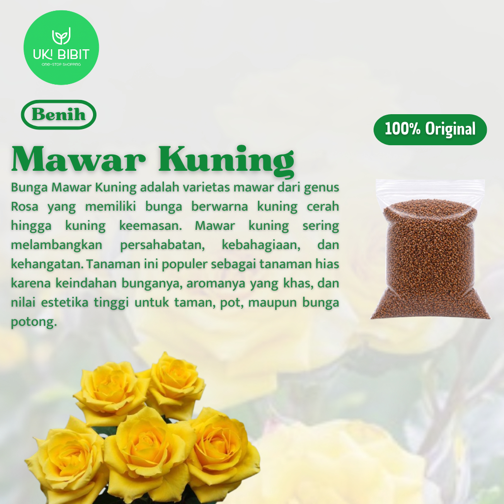 ( 5 Butir ) Benih Biji Bunga Mawar Kuning | Mawar Hijau | Mawar Hitam