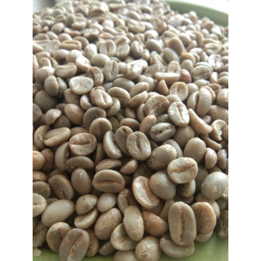 Biji kopi nangka asli Jawa Timur