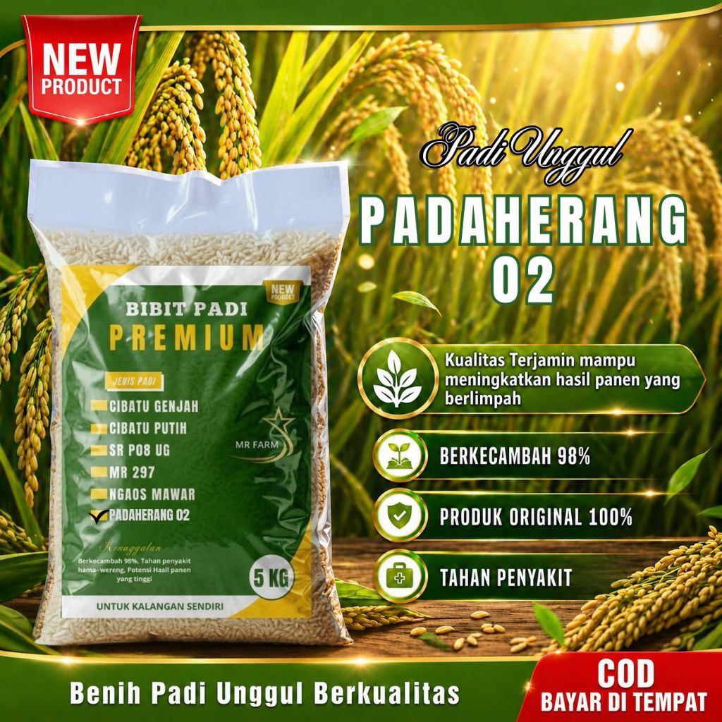 Benih padi unggul berkualitas PADAHERANG 02 kemasan 5kg original