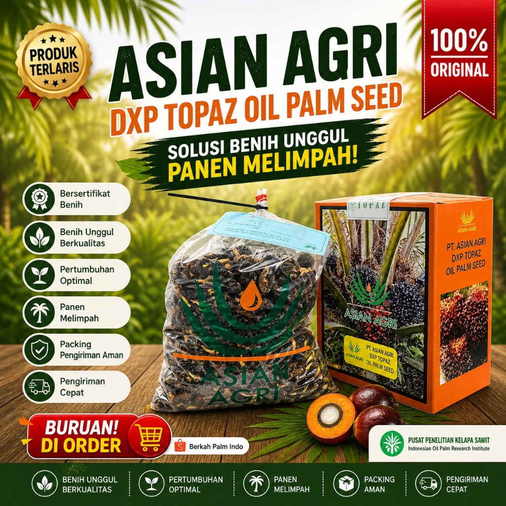 Kecambah Sawit Unggul PPKS 540 Original | 100% Bersertifikat Resmi isi 250 Butir Siap Tanam