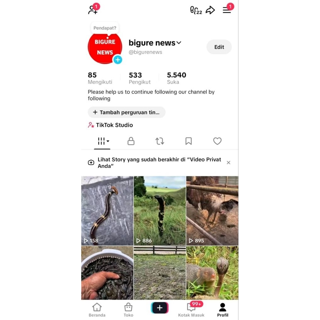 Tiktok monetisasi