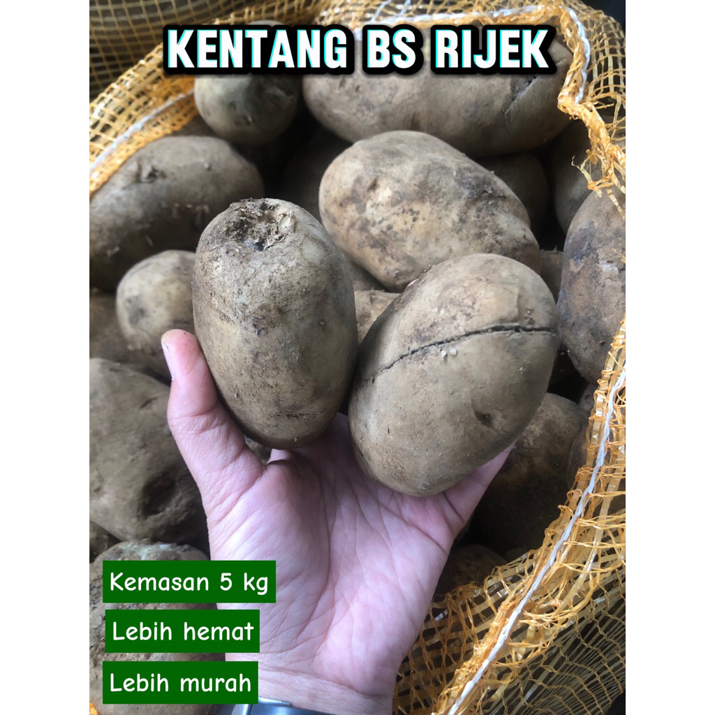 KENTANG BS RIJEK SORTIR - 5 KG