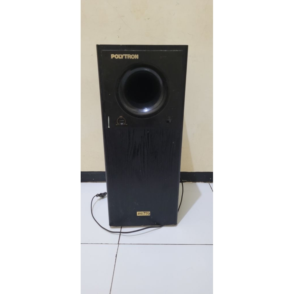 polytron psw 500i