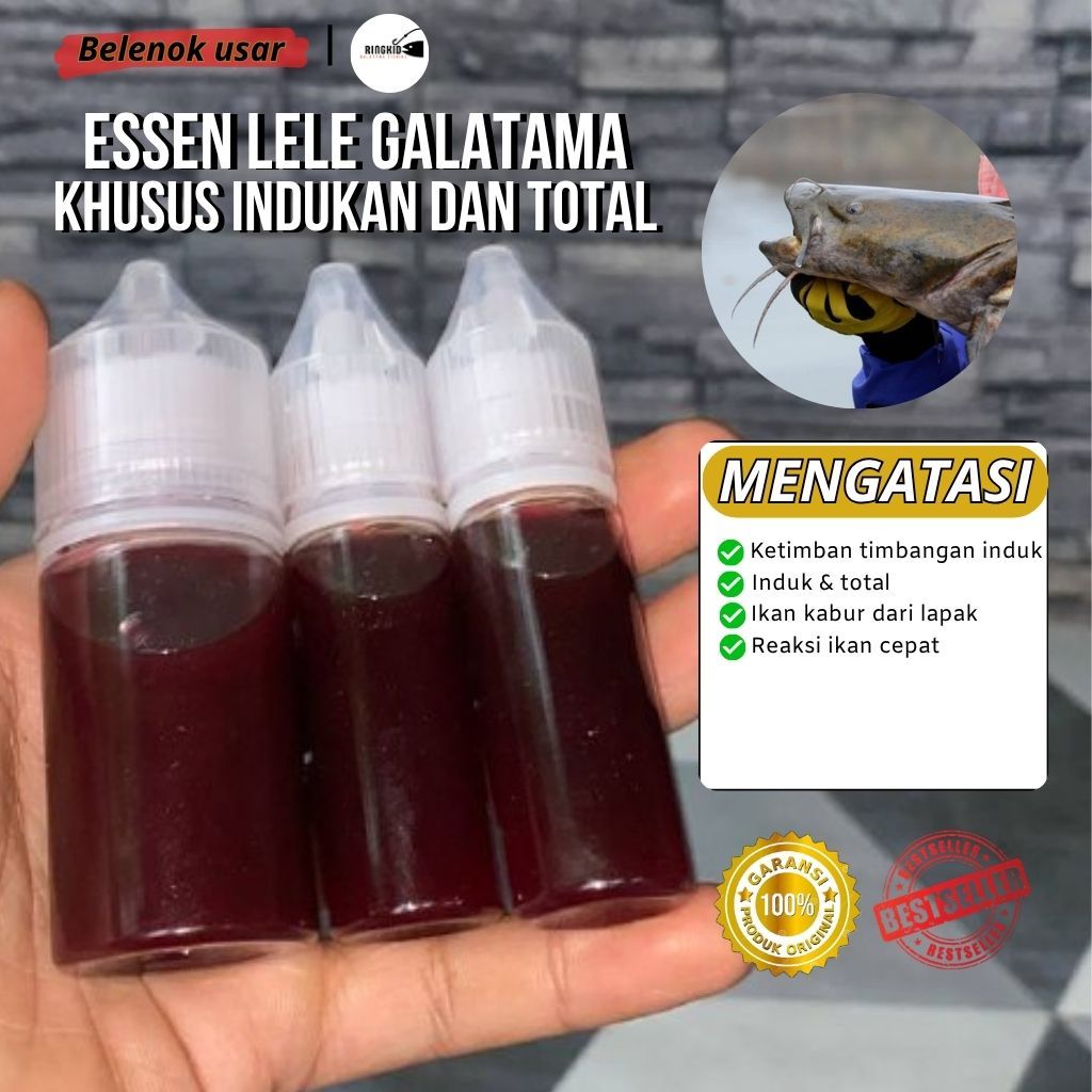 essen lele galatama khusus induk dan total untuk semua media umpan aroma belenok usar sereh berkuali