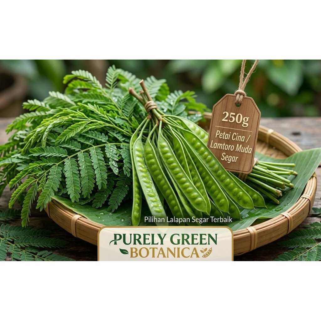 Petai Cina atau Lamtoro Muda Segar (250 gram)