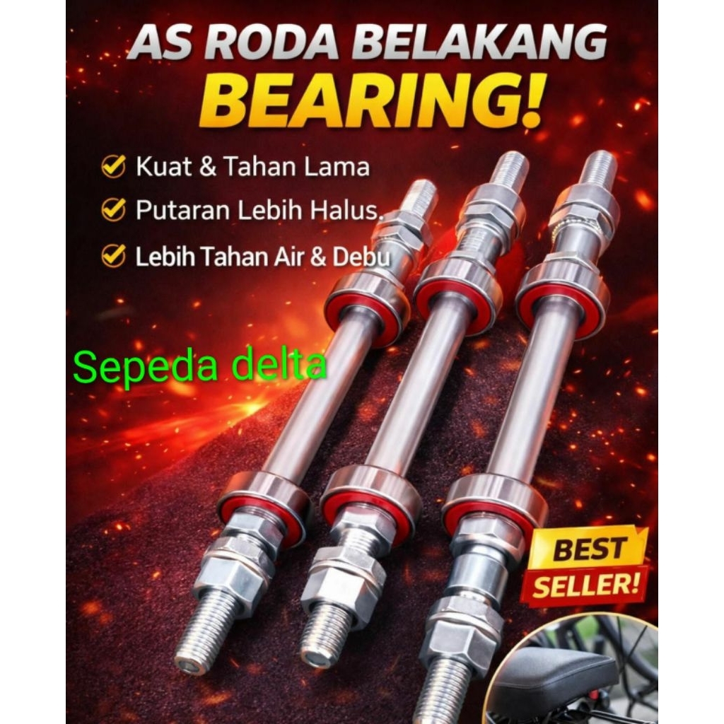 AS SEPEDA RODA BELAKANG BEARING INT
