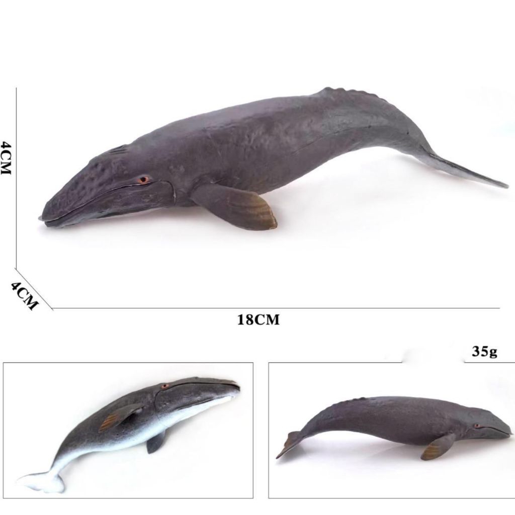 Mainan ikan Paus Bungkuk - miniatur ikan Paus Bungkuk - pajangan Paus Bungkuk - koleksi figure Paus 