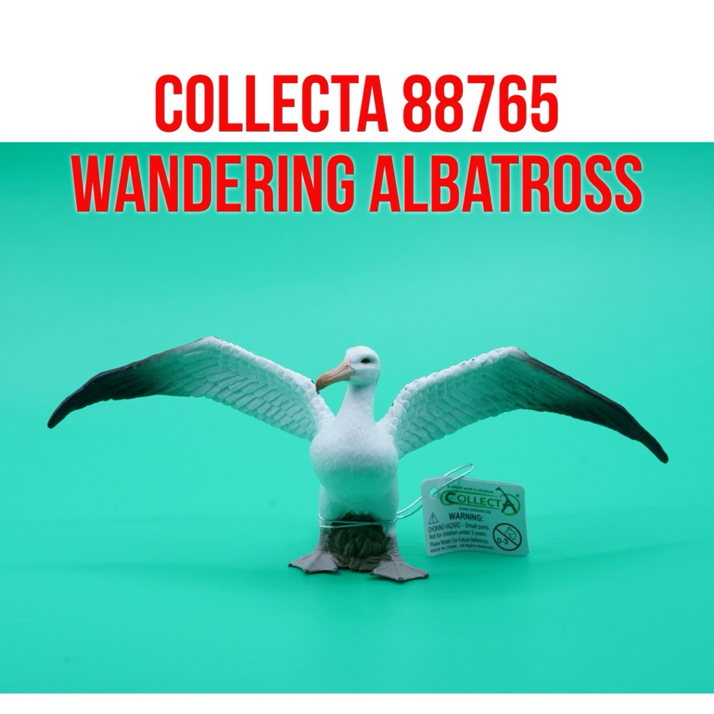 COLLECTA 88765 Wandering Albatross Goonie Bird Burung Laut Albatros Kelana Diomedea Exulans | Mainan