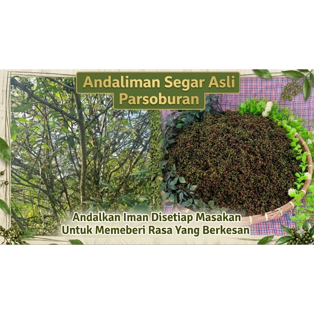 Andaliman Segar 1000 Gram - Aroma Citrus, Rasa Khas Batak, Sensasi Unik