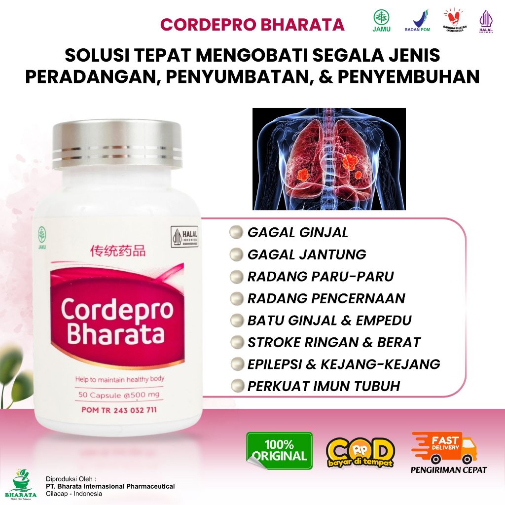 Cordepro Bharata Original Obat Herbal Radang Paru Stroke Epilepsi Ginjal & jantung Komplikasi BPOM