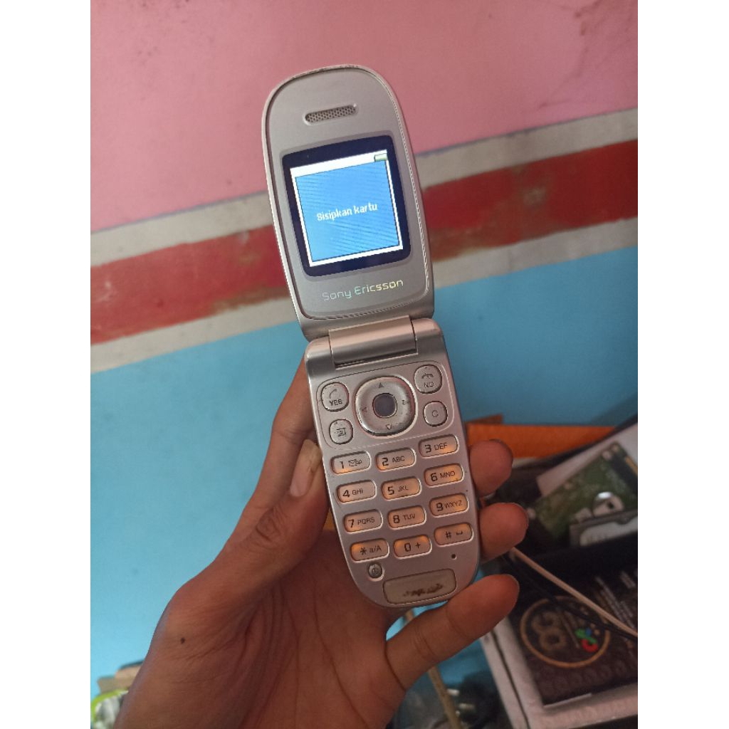 Sony Ericsson Z300i