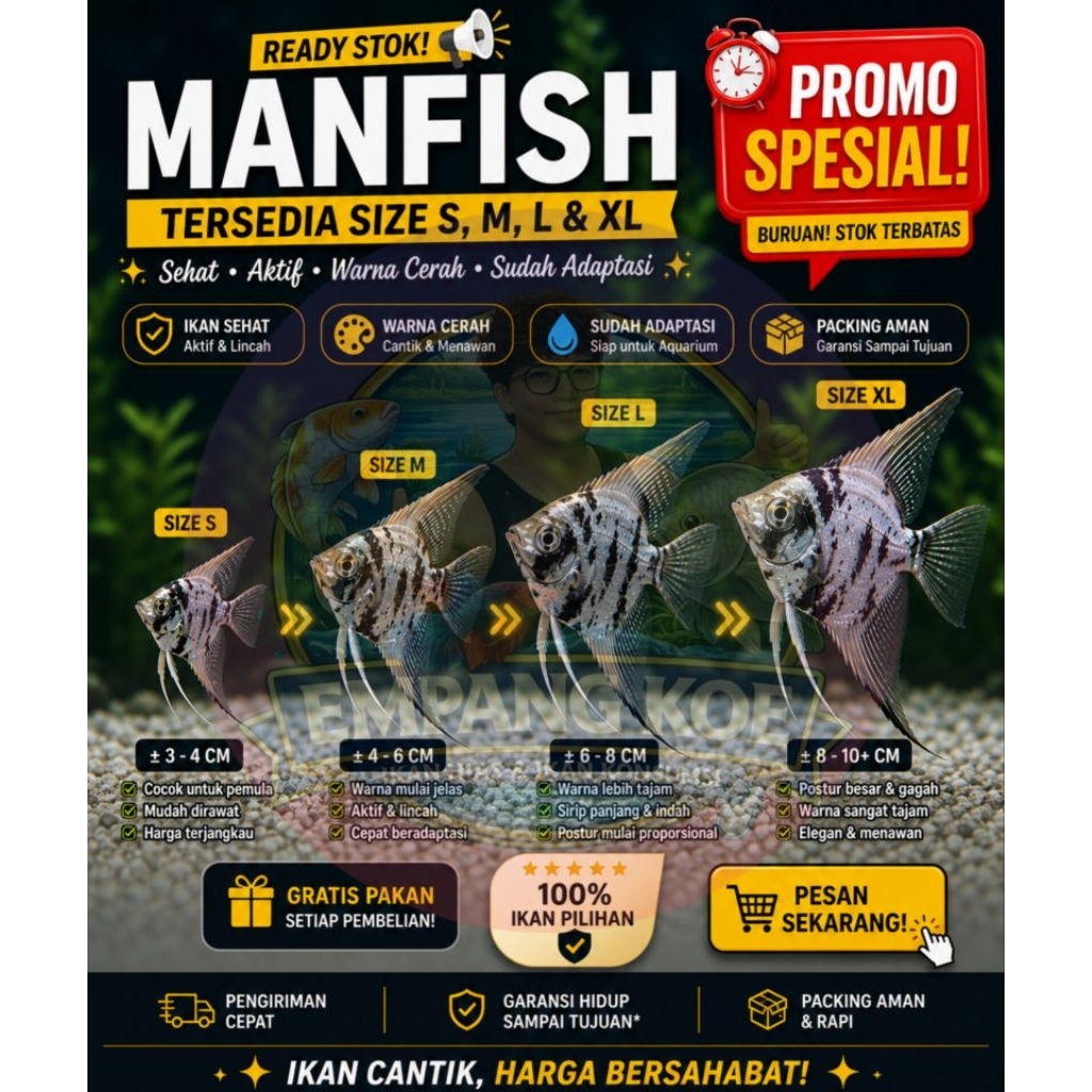 MANFISH Ikan Hias Aquarium Aquascape Tricolor size S M L XL Jumbo