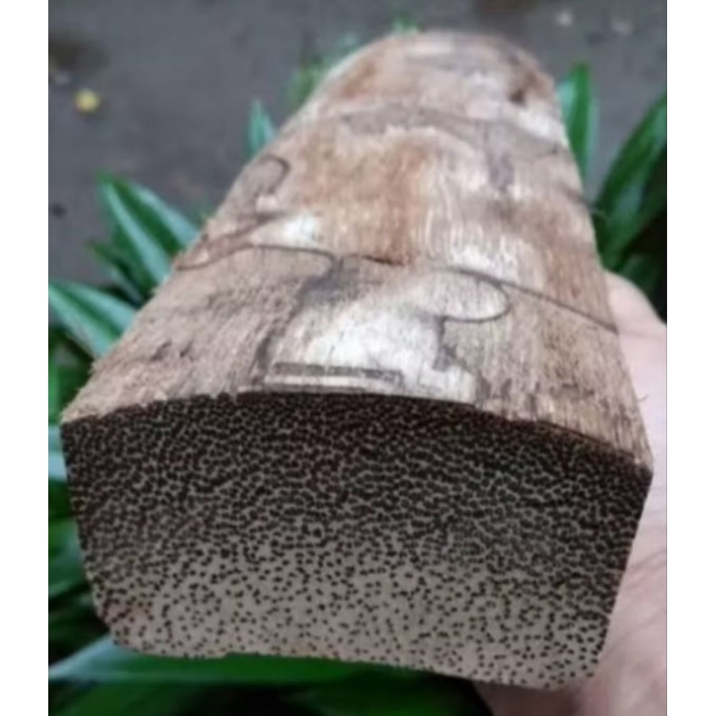BAHAN KAYU LIWUNG ASLI 1 KILO