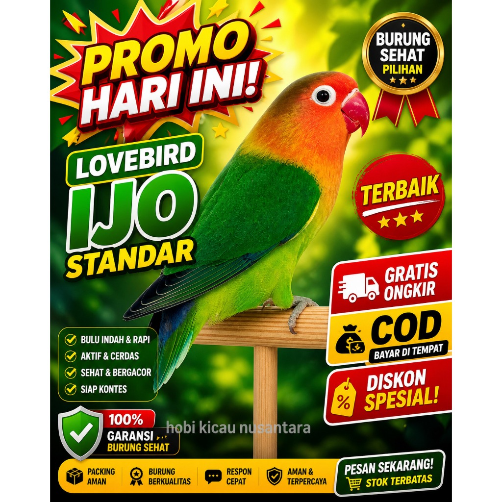 Lovebird josan paruh merah burung love bird