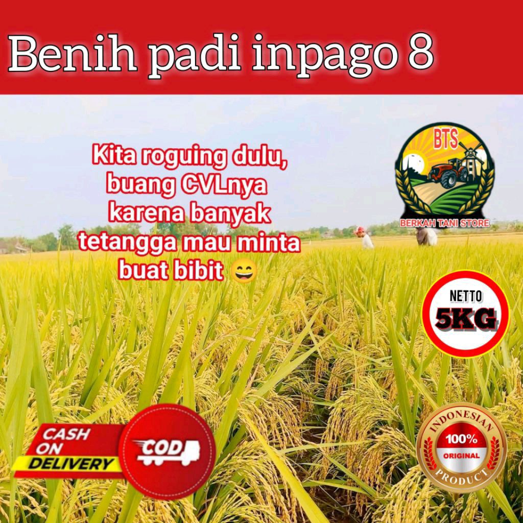 Benih padi INPAGO 8 benih padi unggul original jumbo premium benih padi berkualitas