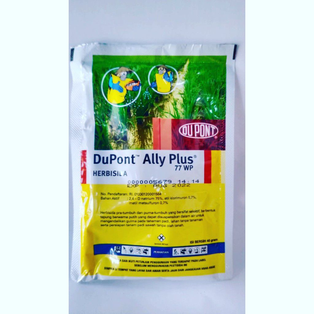 herbisida dupont ally plus 77 wp