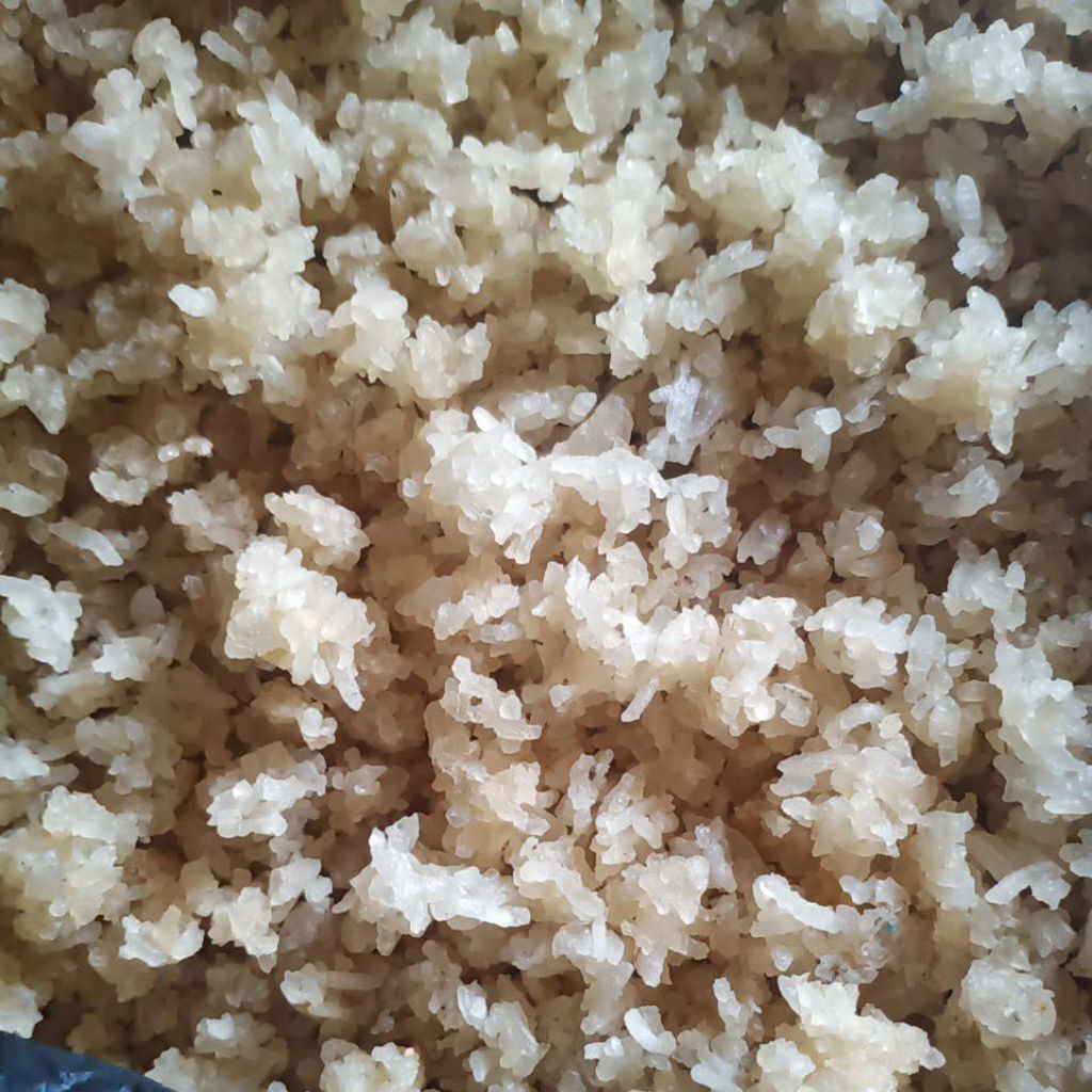 Nasi Aking Karak Kering Pakan Ternak 1 kg