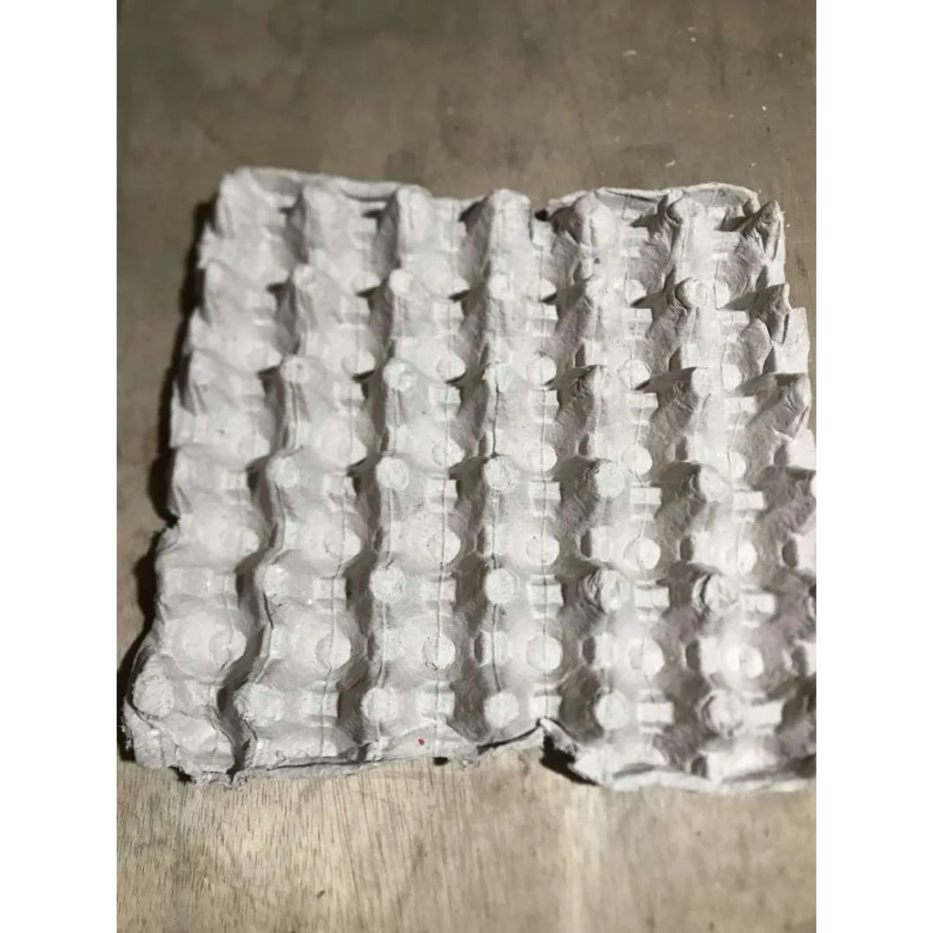 Tray Telur Ayam/ Bebek Kertas Bekas Masih Bagus